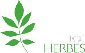 1001 herbes