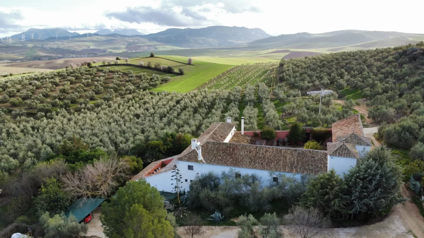 Molino las Pilas.webp