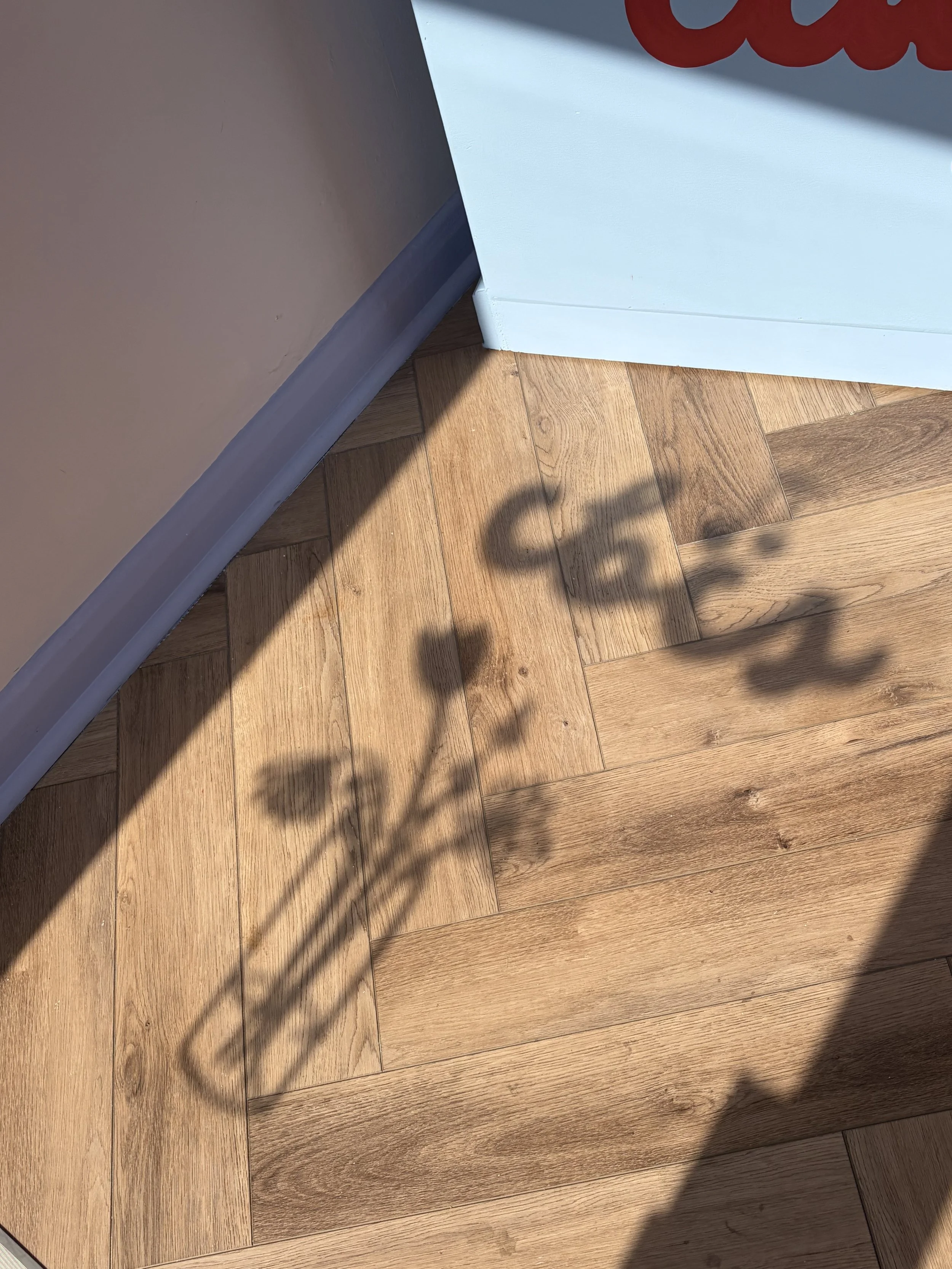 The Sun shines into the Studio through the Shopfront Window, with a shadow mirroring Creative Babes Club Studios' sub-logo and vase of flowers illustration onto the Studio floor.