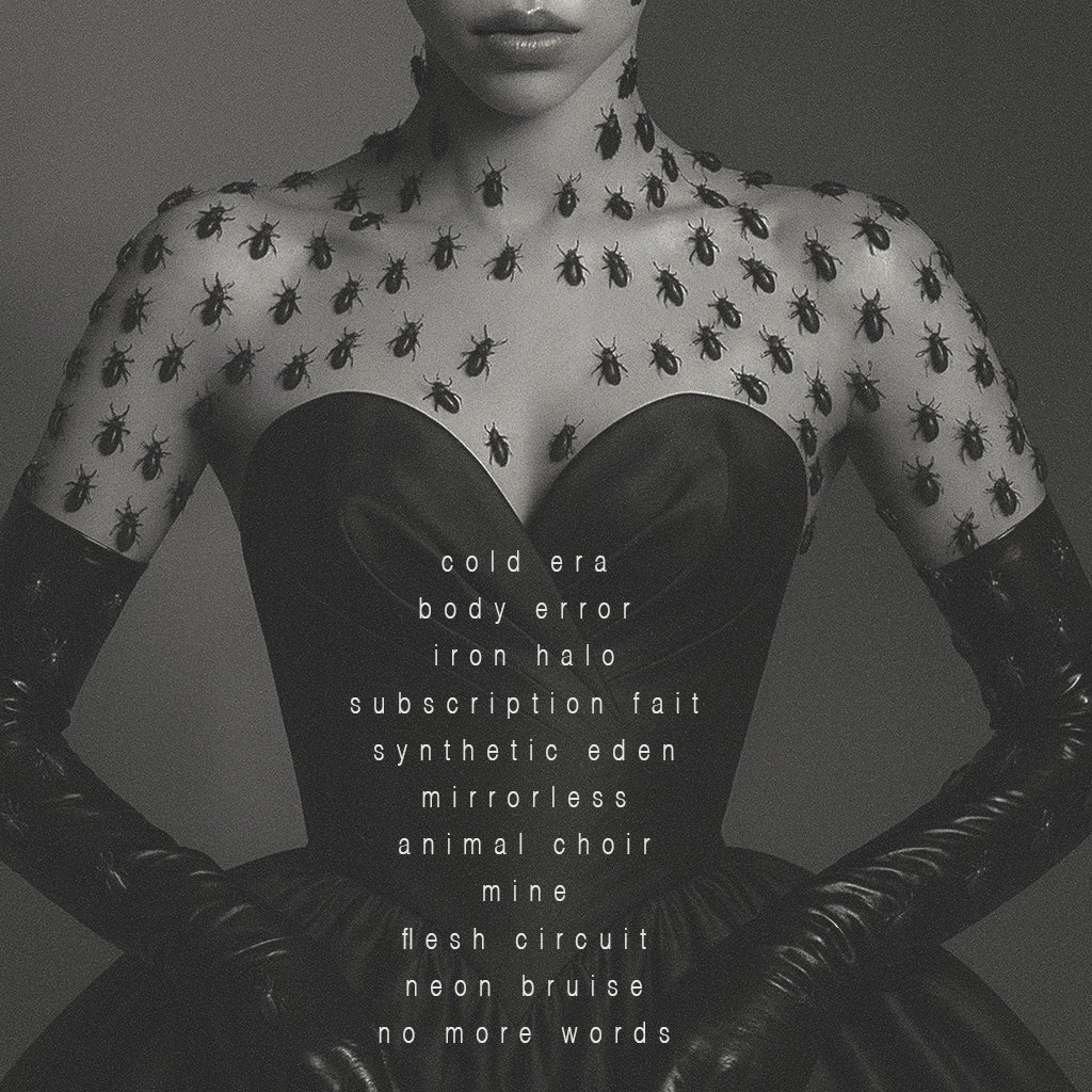 0D66AA68-5770-4A30-BBD6-9A3D6D5CF53A copie.JPG