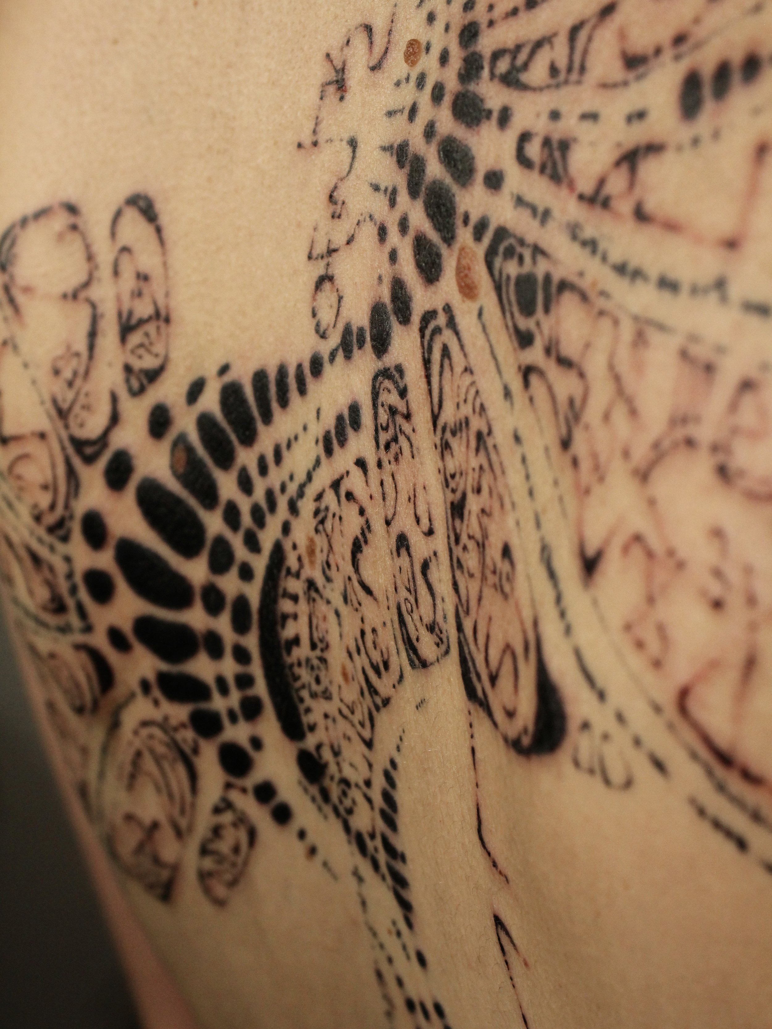 Close-up of a tattoo depicting a detailed, black ink illustration of a dinosaur on light skin.