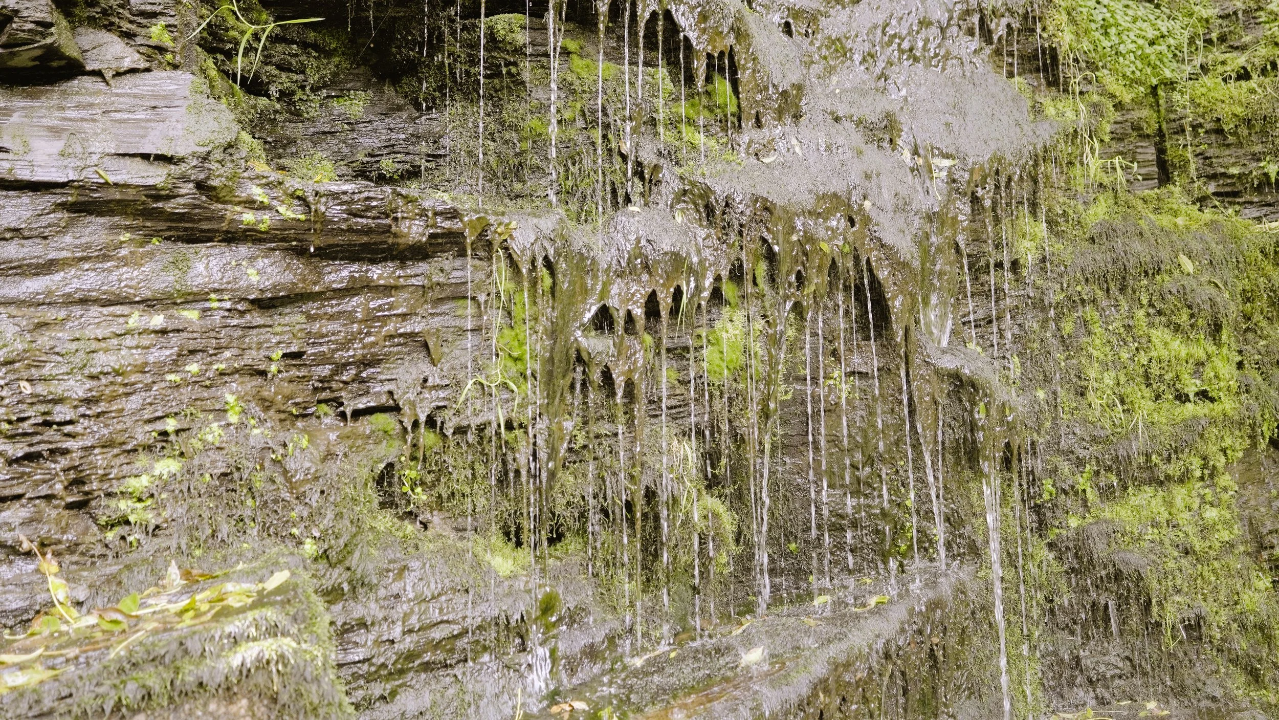 Close-up of a mossy, wet rock face with small waterfalls and green vegetation growing on it.