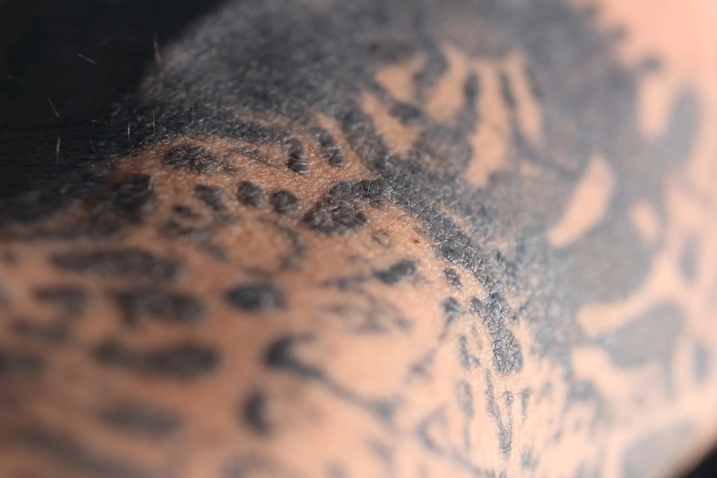 Close-up of a tattoo on skin, showing detailed black inked text and design.