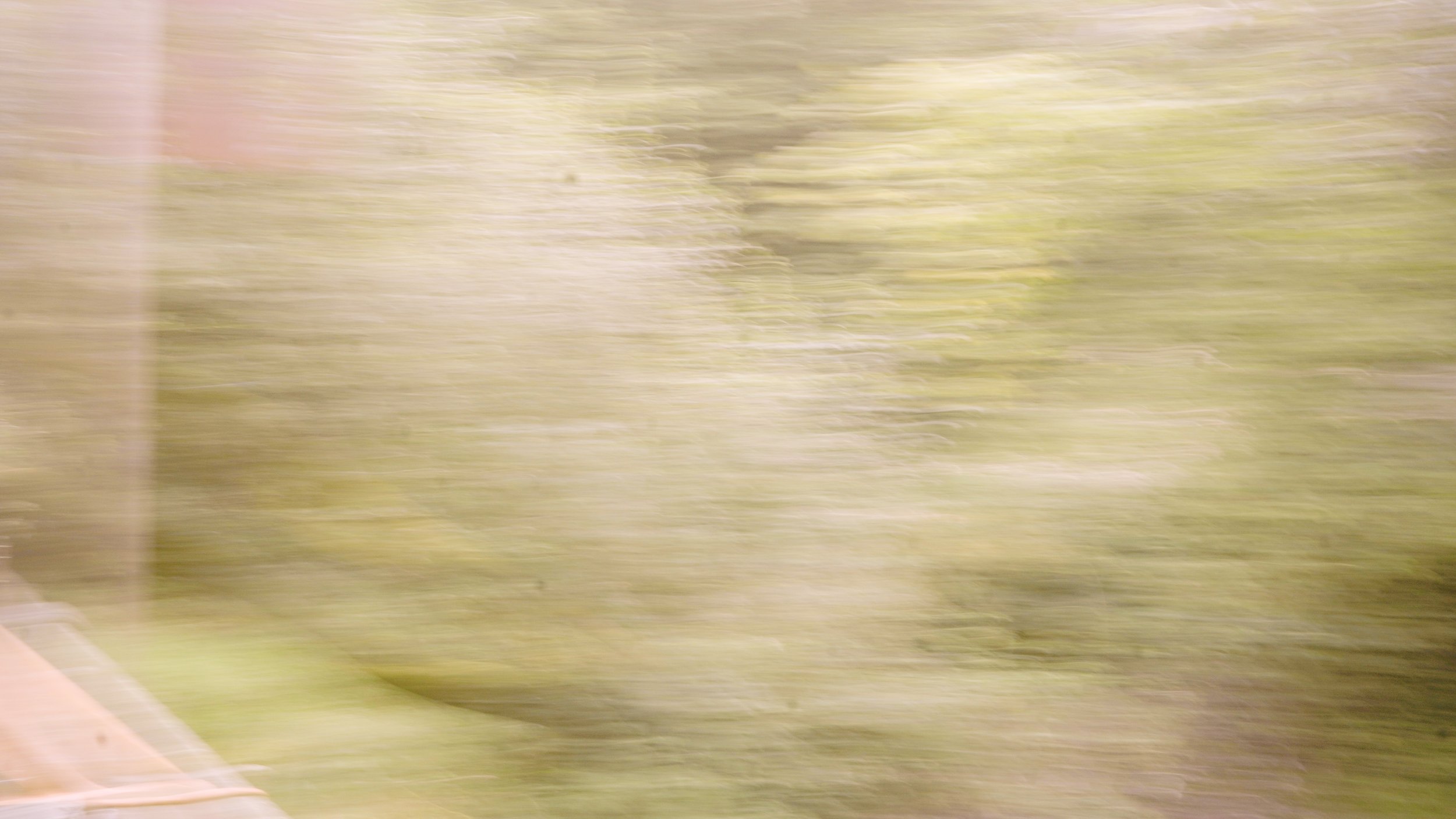 Blurry image of trees and greenery seen from a moving vehicle, with some parts of a wooden railing or fencing visible in the bottom left corner.