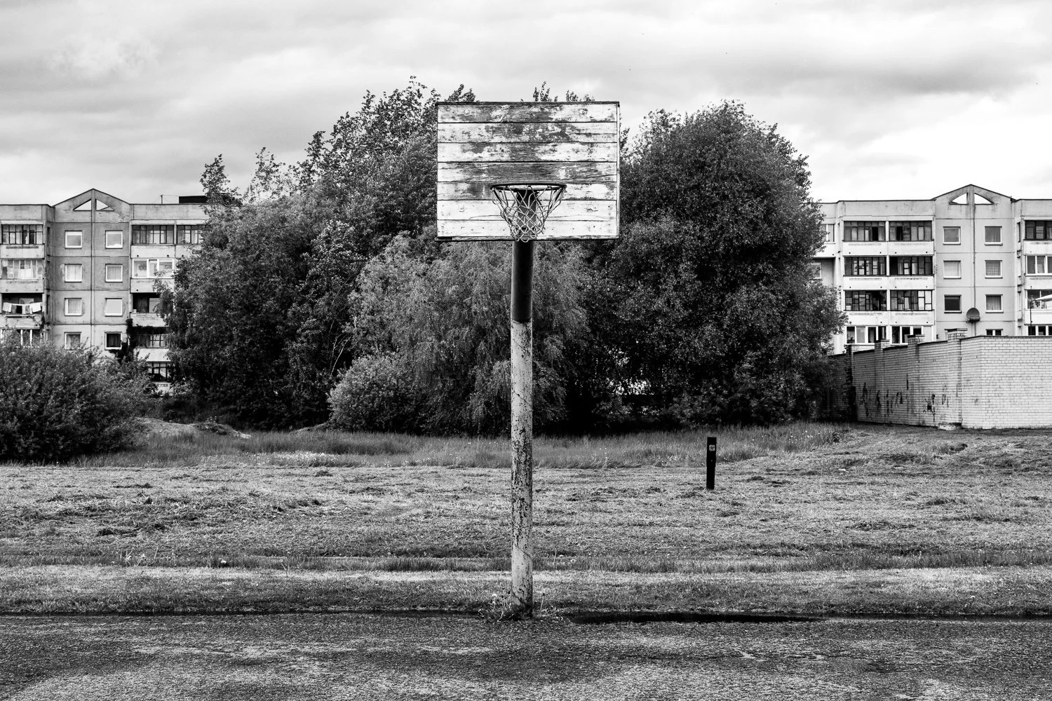 Black and white image of a basketball hoop on an outdoor court, with residential buildings and trees in the background.
