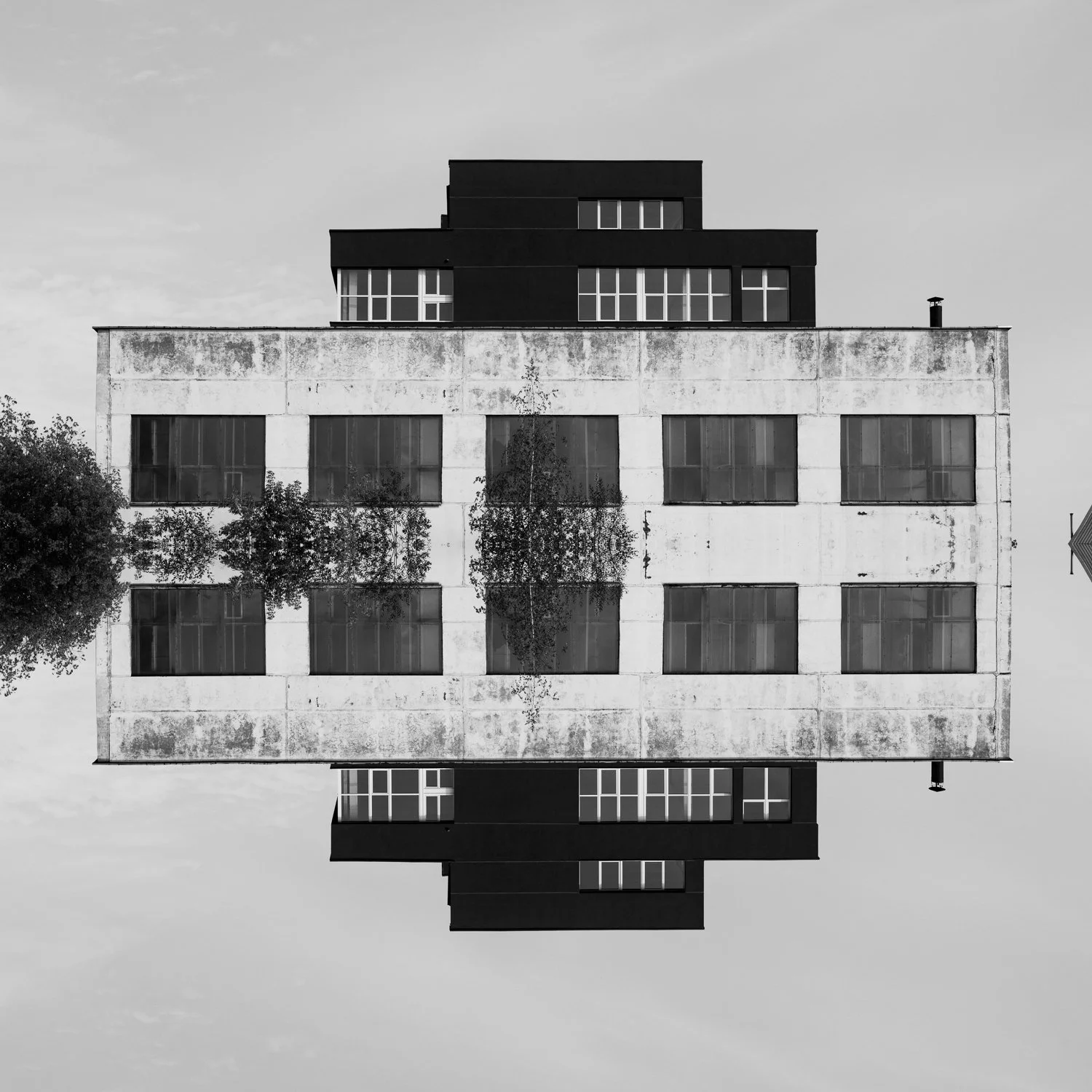 Black and white photo of a multi-story building with trees on either side and the image is flipped upside down.