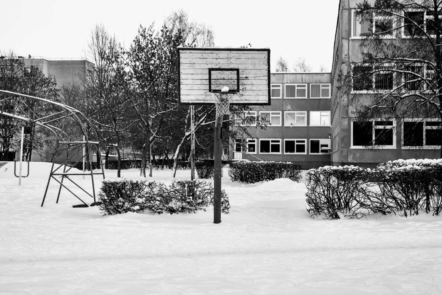 Snow-covered basketball court with a wooden backboard, surrounded by leafless trees, bushy shrubs, and a multi-story apartment building in the background.