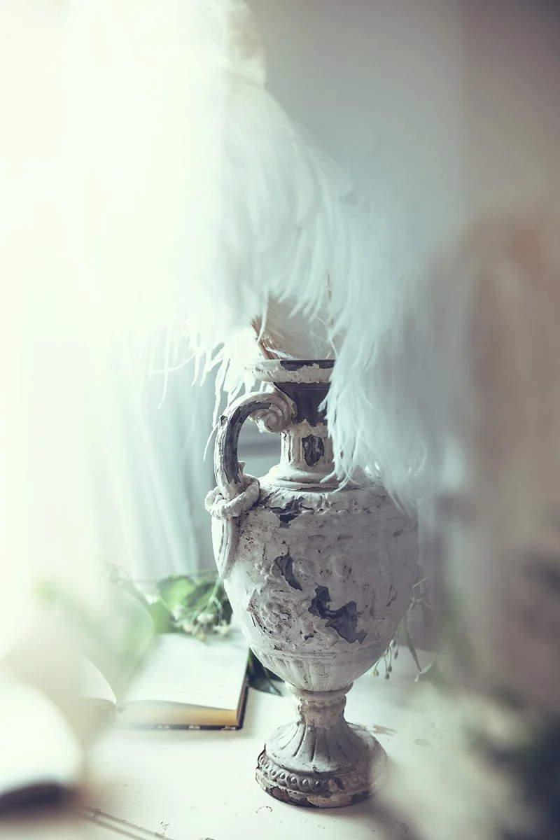 Close-up of an ornate, weathered white vase with decorative handles and chipped paint, partially covered by white feathered feathers, with an open book and green plant in the blurred background.