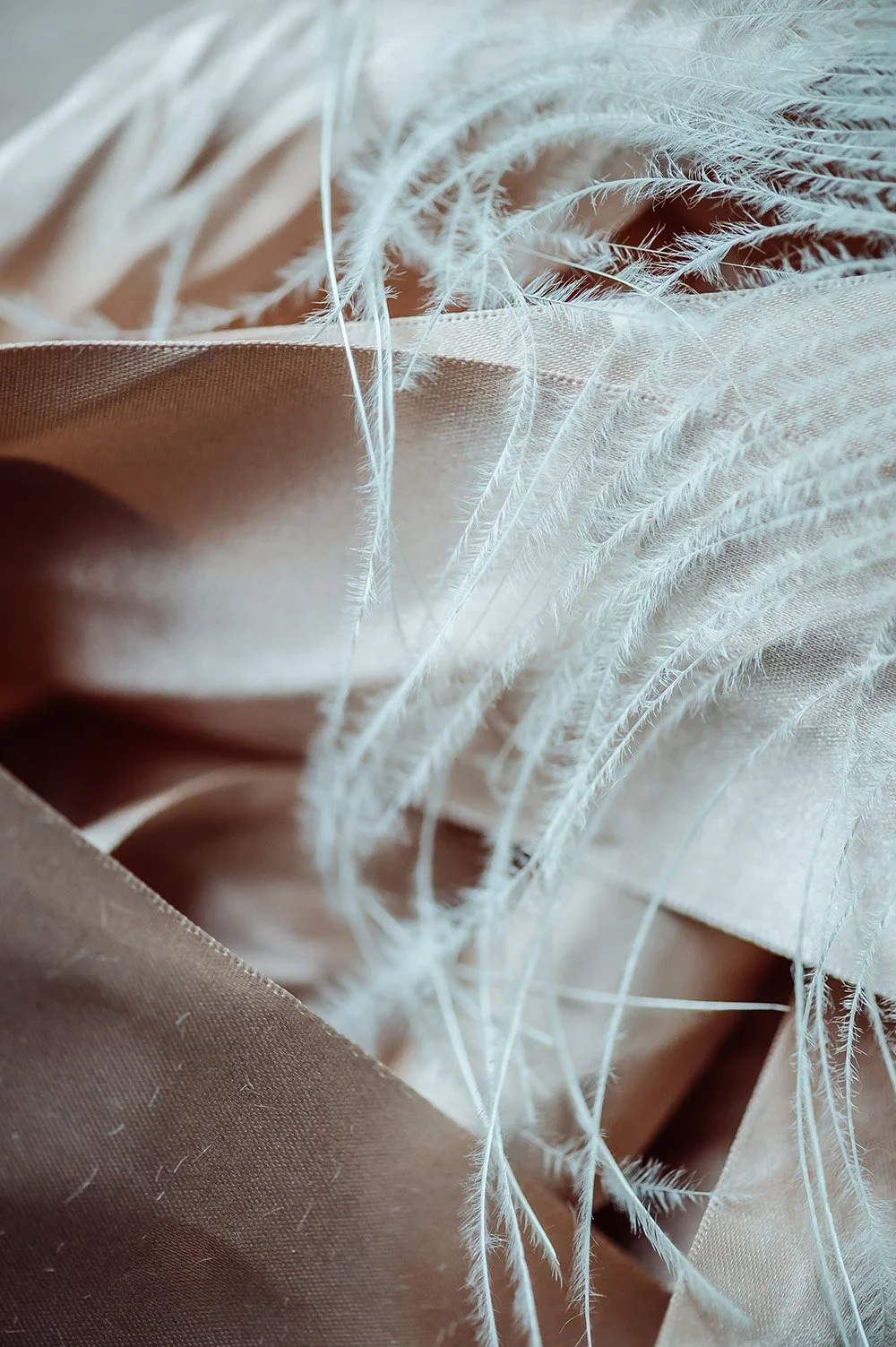 Close-up of white feathers intertwined with beige satin fabric.