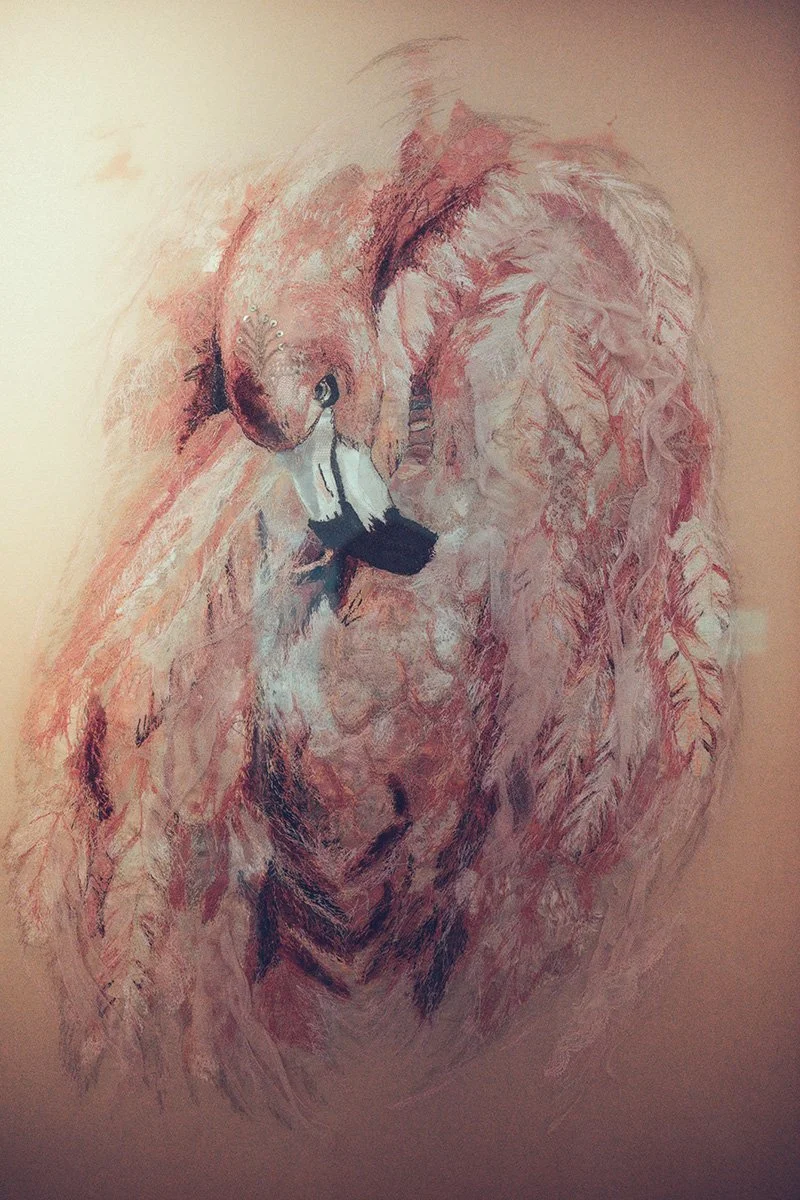 Flamingo Artwork by Amy Martin