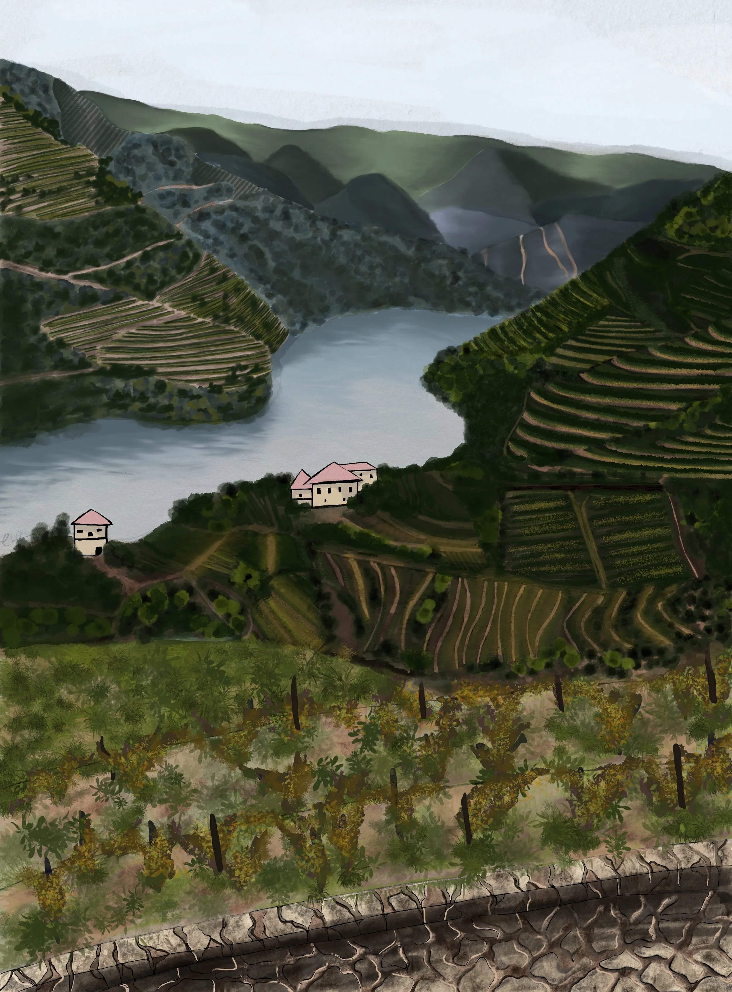 Digital painting of a landscape with a river in a valley, surrounded by green and terraced mountains, with a stone wall in the foreground. this illustration created to a wine menu for a restaurant in London.
