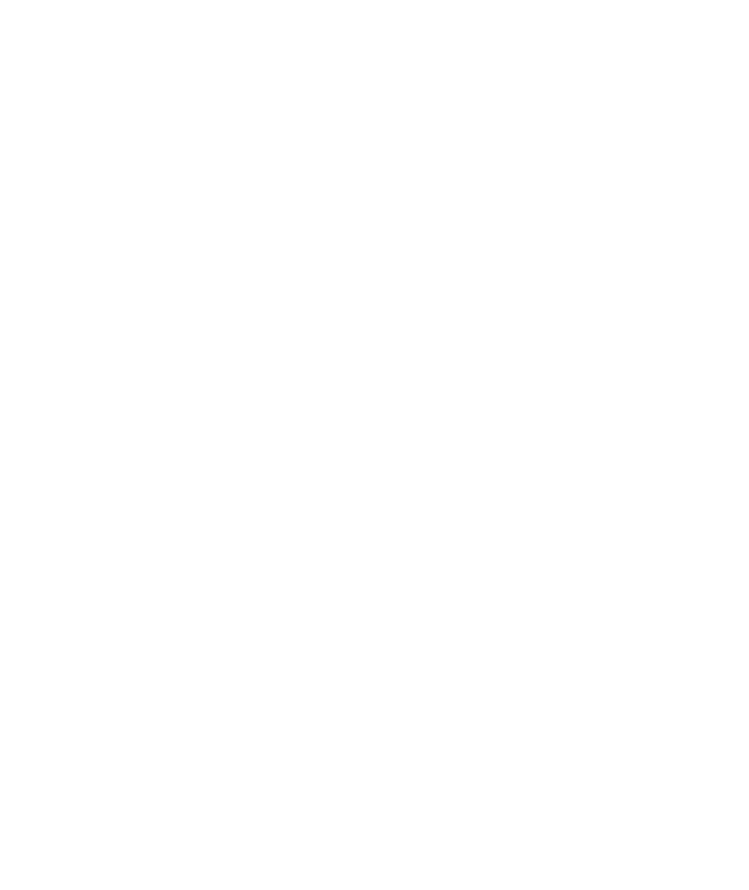 Secondary Logo of Cintia Fauszt Design Studio in a white colour.