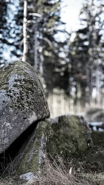 Felsen im Wald mit Bäumen im Hintergrund, in der Nähe des Kolmenhofs.