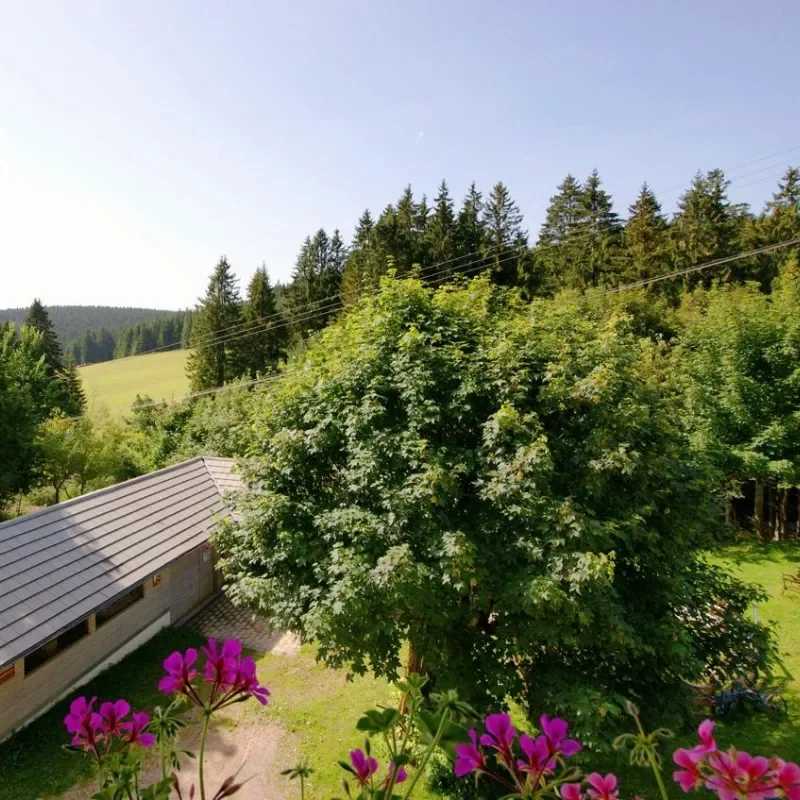 Kolmenhof Zimmer-3 Ausblick.webp