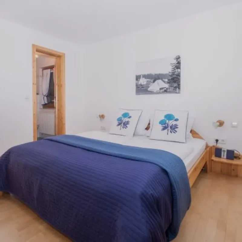 Zimmer 2 Kolmenhof.webp