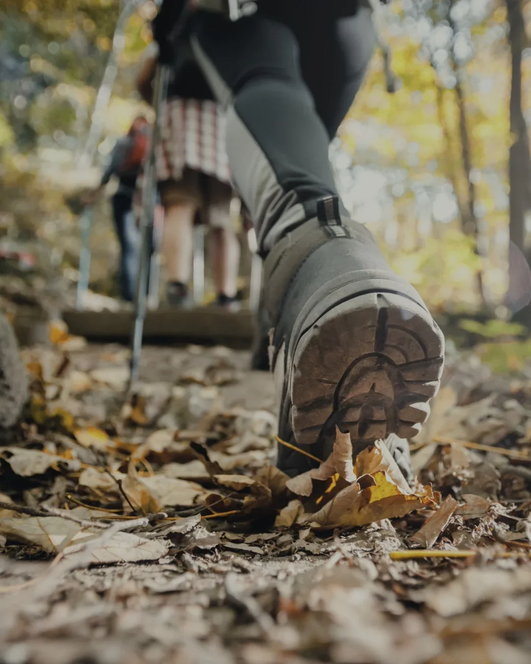 Nahaufnahme eines Wanderstiefels auf einem mit Herbstlaub bedeckten Waldweg im Schwarzwald, im Hintergrund sind Wanderer mit Wanderstöcken sichtbar.