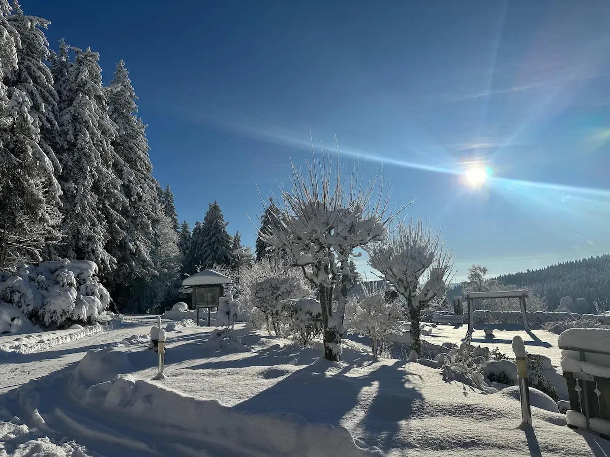 Schneebedeckter Landschaft um den Kolmenhof mit Bäumen, Hecken und Spielturm unter klarem blauen Himmel, Sonne scheint, im Hintergrund bewaldete Hügel.