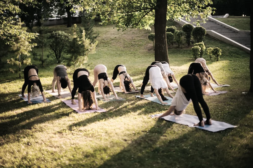 Menschen beim Yoga in der Freien Natur unter einem Baum auf einer Wiese.