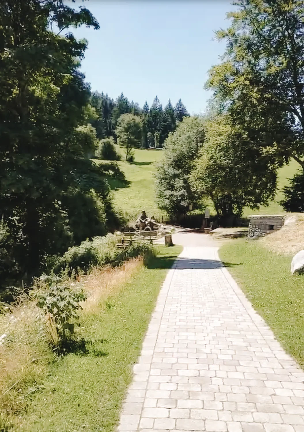 Ein gepflasterter Weg der direkt zur Donauquelle führt, umgeben von grünen Wiesen und Bäumen, eine bewaldete, hügelige Landschaft.