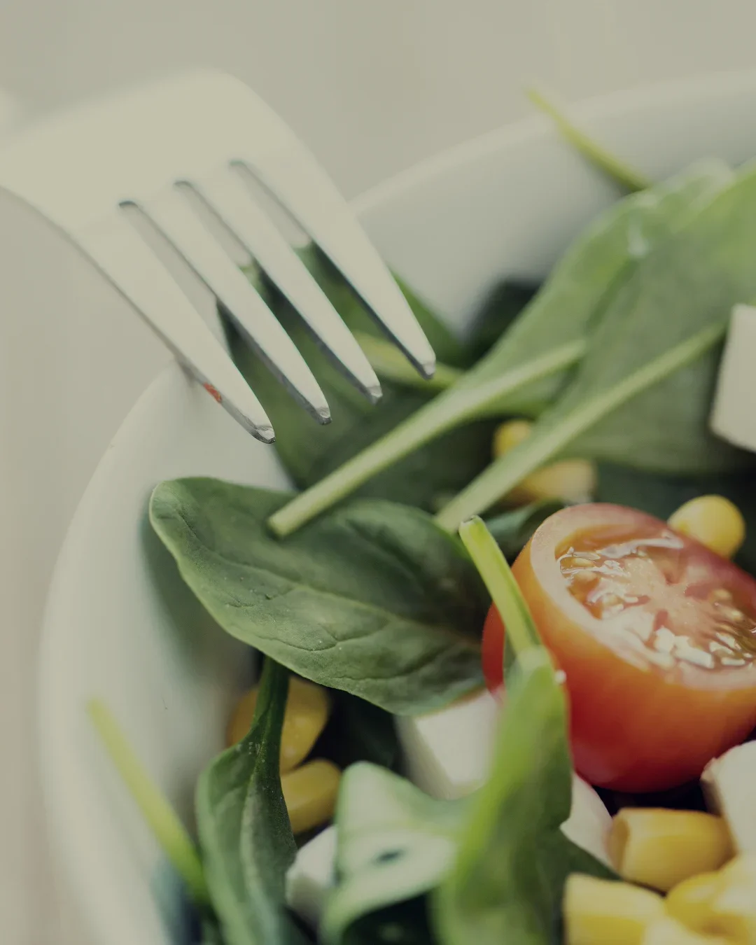 Close-up eines Salats mit Tomate, Spinat, Mais und einer Gabel in einem weißen Teller als Beispiel für die Kolmenhof Küche.