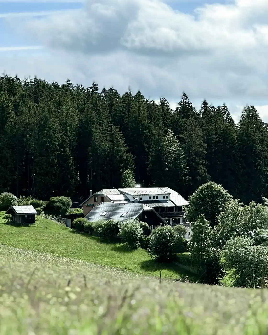 Der Kolmenhof in einer ländlichen Gegend, umgeben von Bäumen und grünen Feldern, vor einem Wald und einem bewölkten Himmel.