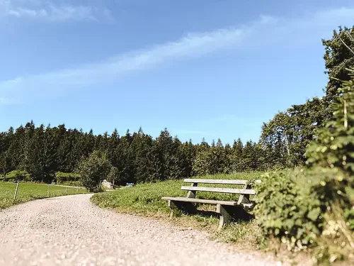 Ein Wanderweg direkt am Kolmenhof mit einer Bank und Büschen, umgeben von Bäumen unter blauem Himmel.