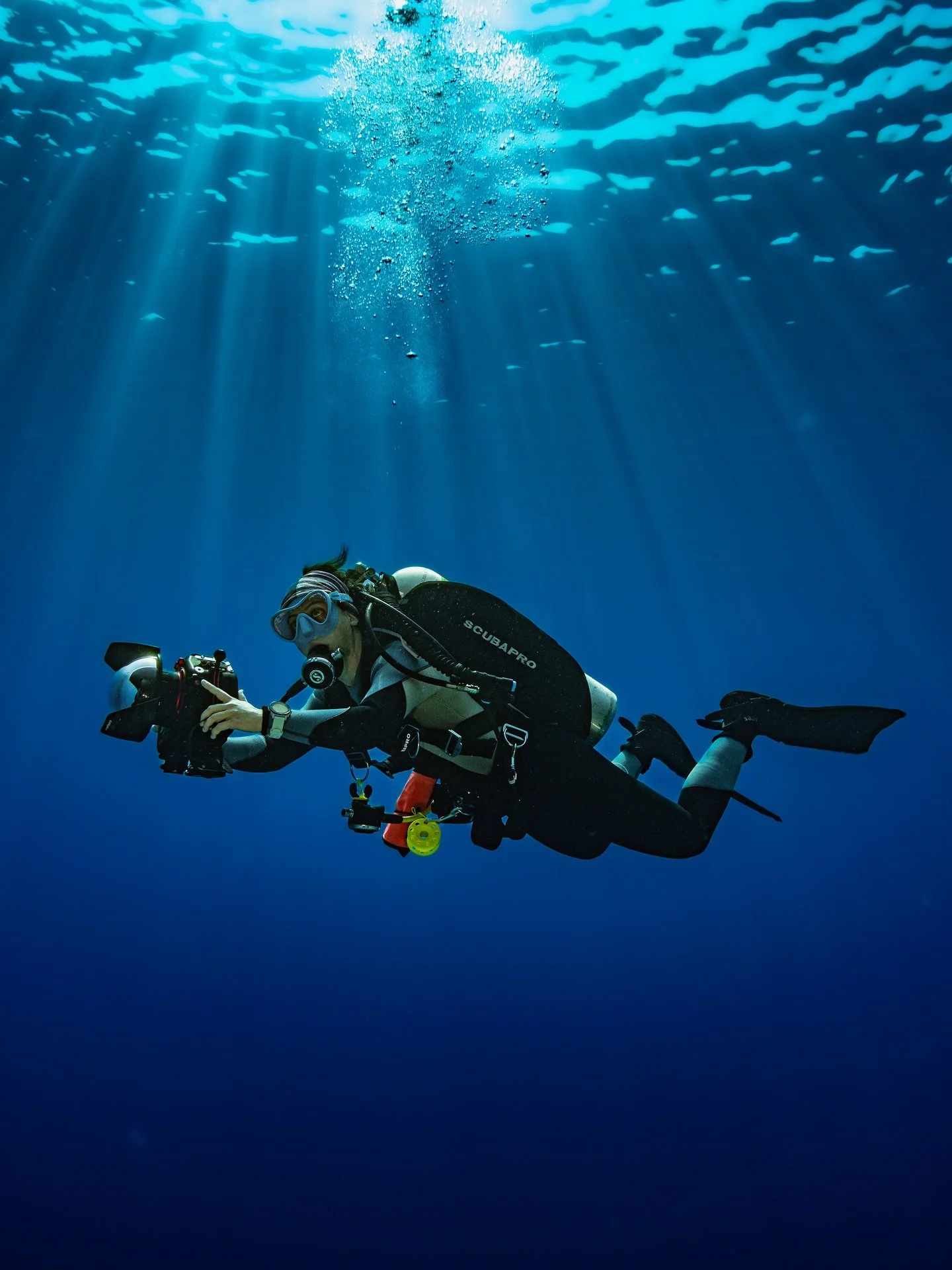 Erika in the blue 🌊 

Thank you for modeling, my friend @erikapsantoro 🙏🏽☺️
.
.
.
📷 #sonya6400
📸 #saltedlinehousing
🔬 #sigma16mm
#RedSea #CoralReef #UnderwaterPhotography #scubadiving