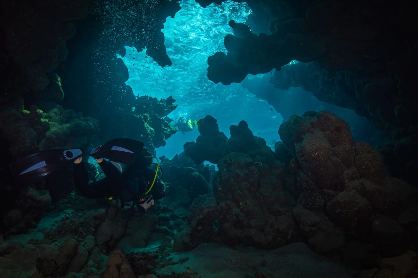 اتبع الضوء ☀️ 
Follow the light 💙
.
.
.
#CavernDiving #RedSea
📷 #sonya6400
📸 #saltedlinehousing
🔬 #sigma16mm
💡 #InonS220