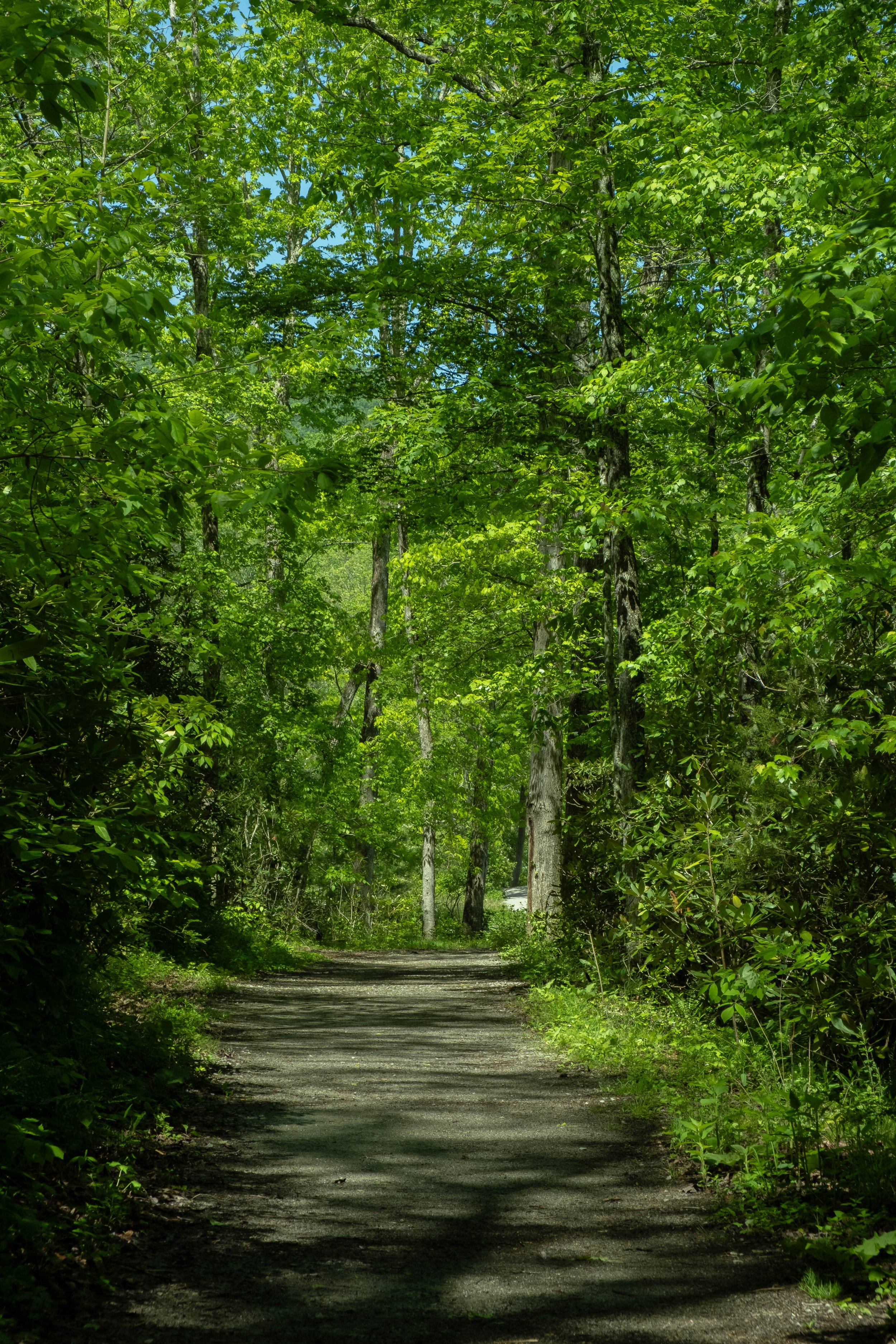 DSCF4783.jpg