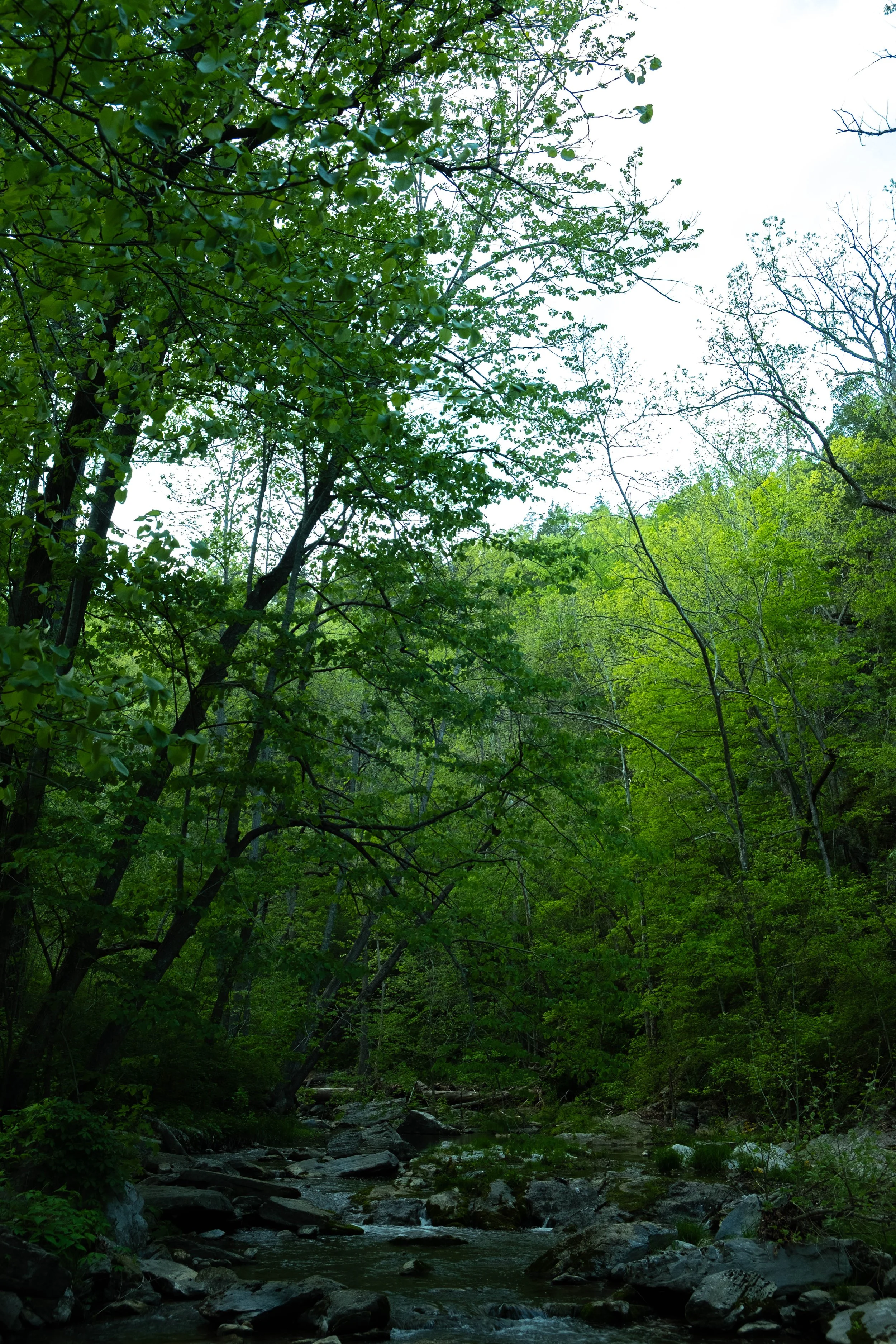 DSCF4678.jpg