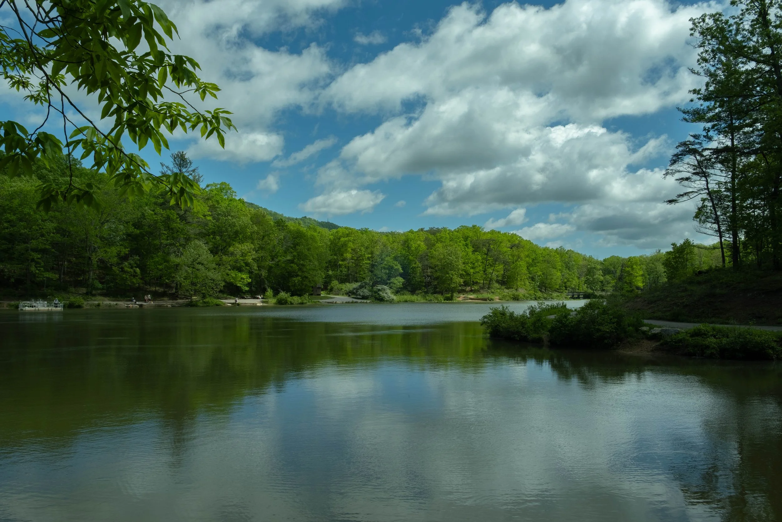DSCF4766.jpg
