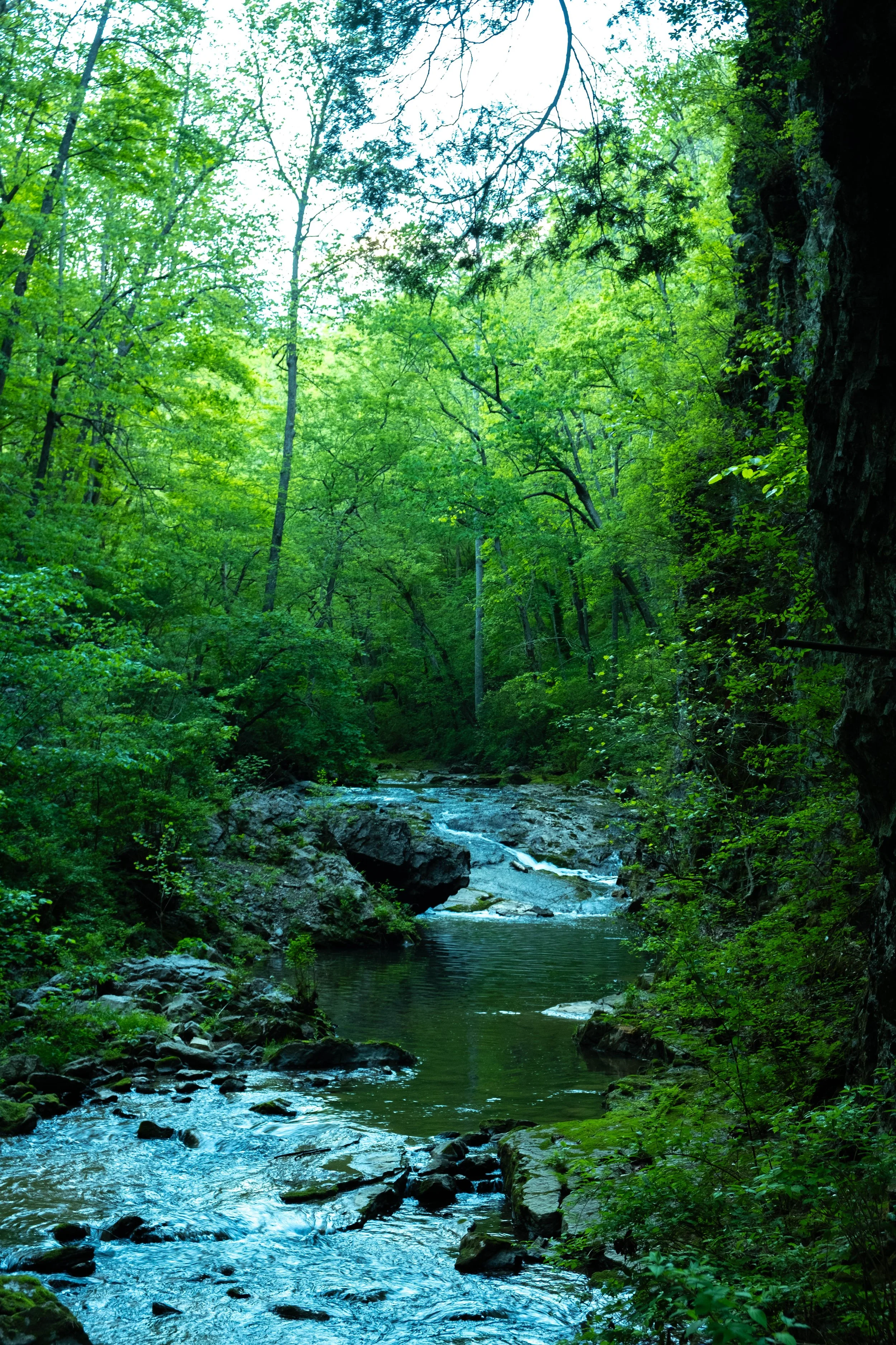 DSCF4662.jpg