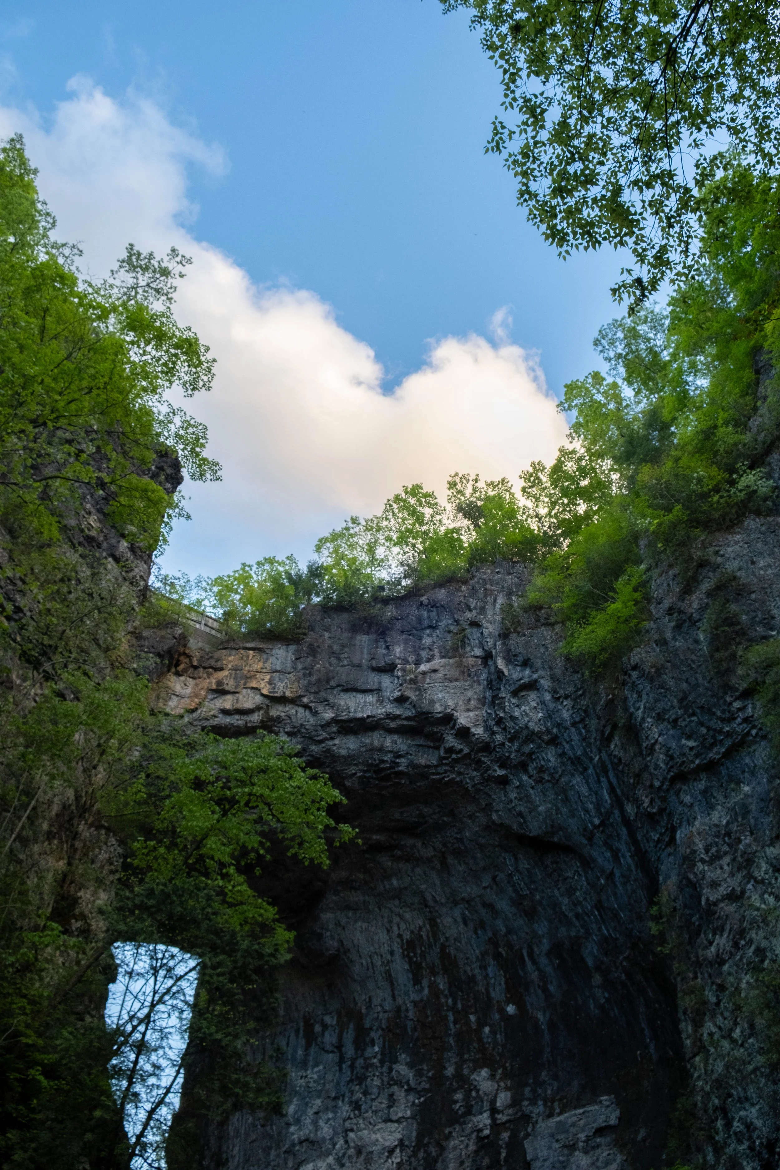 DSCF4671.jpg