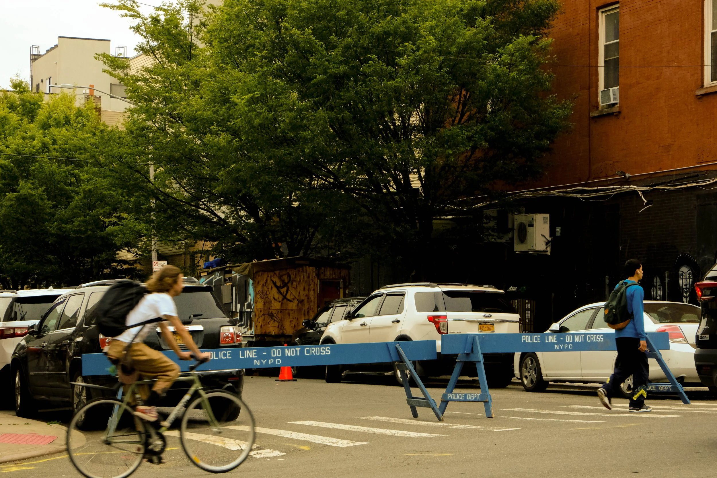 DSCF4905.jpg
