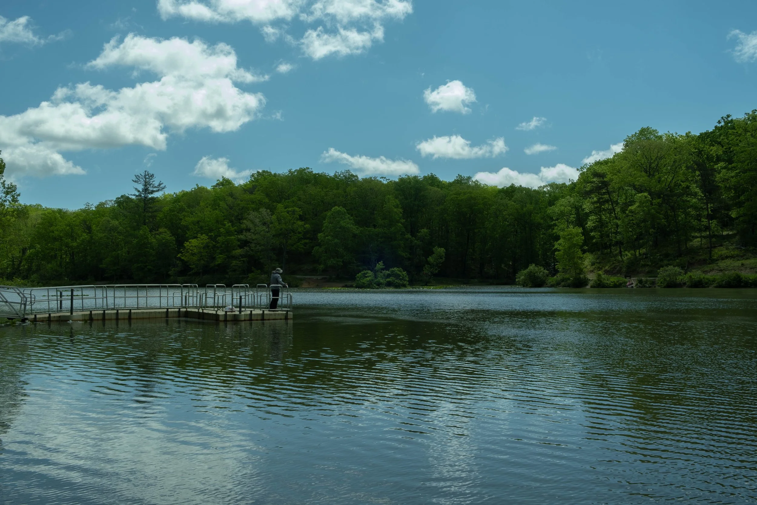 DSCF4755.jpg