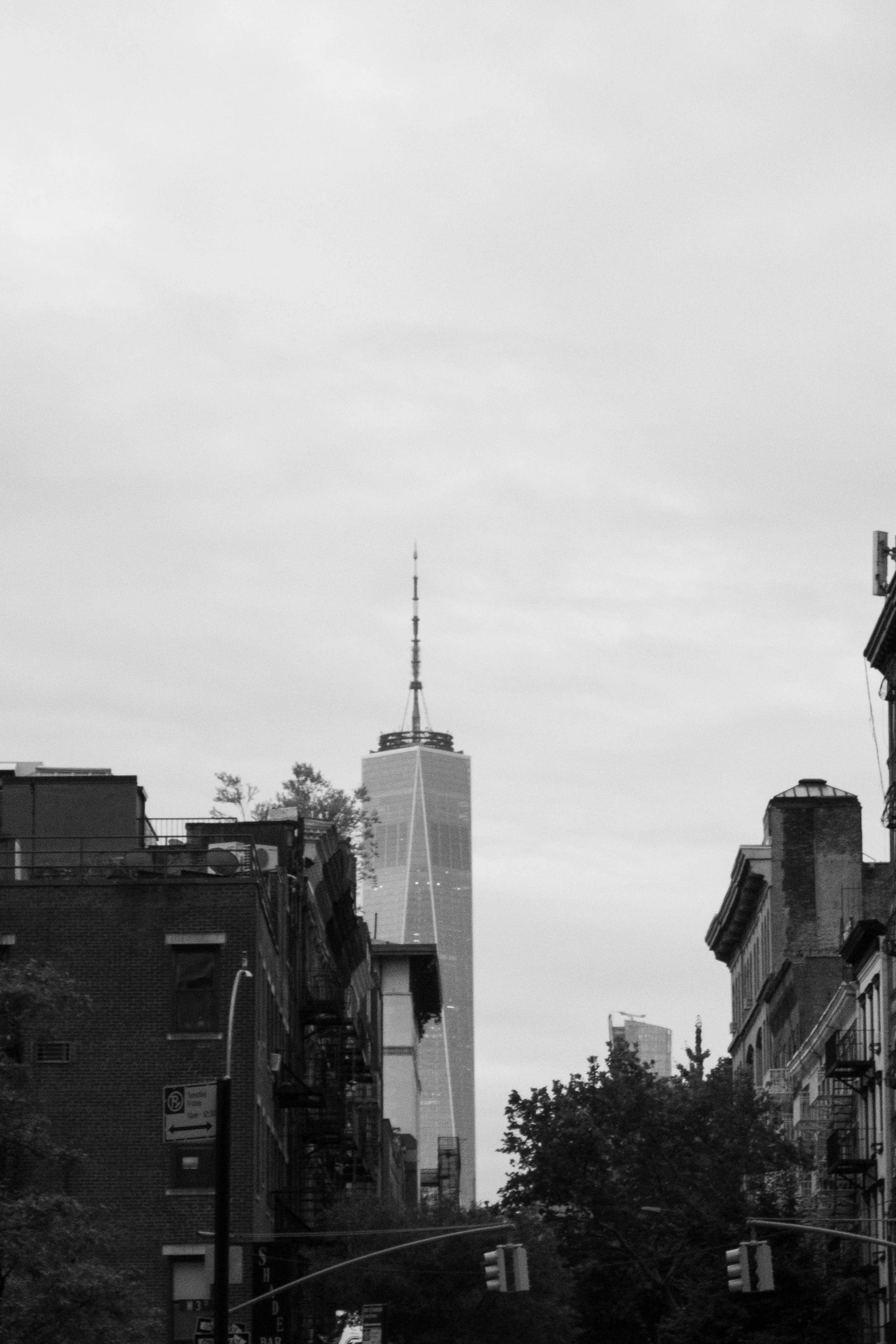 DSCF5149.jpg