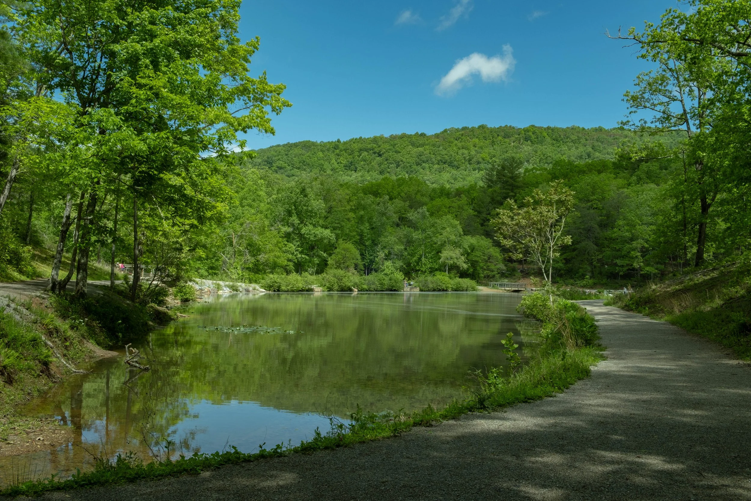 DSCF4775.jpg