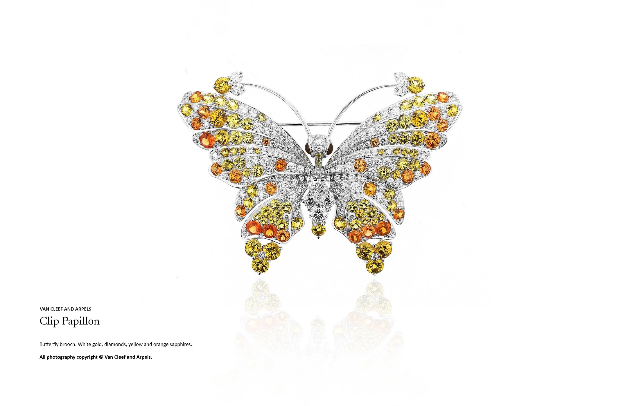 High jewellery butterfly brooch in white gold with diamonds, yellow sapphires and orange sapphires, illustrating complex colour transitions and couture-level jewellery design by Myles Day Jewellery Artist.