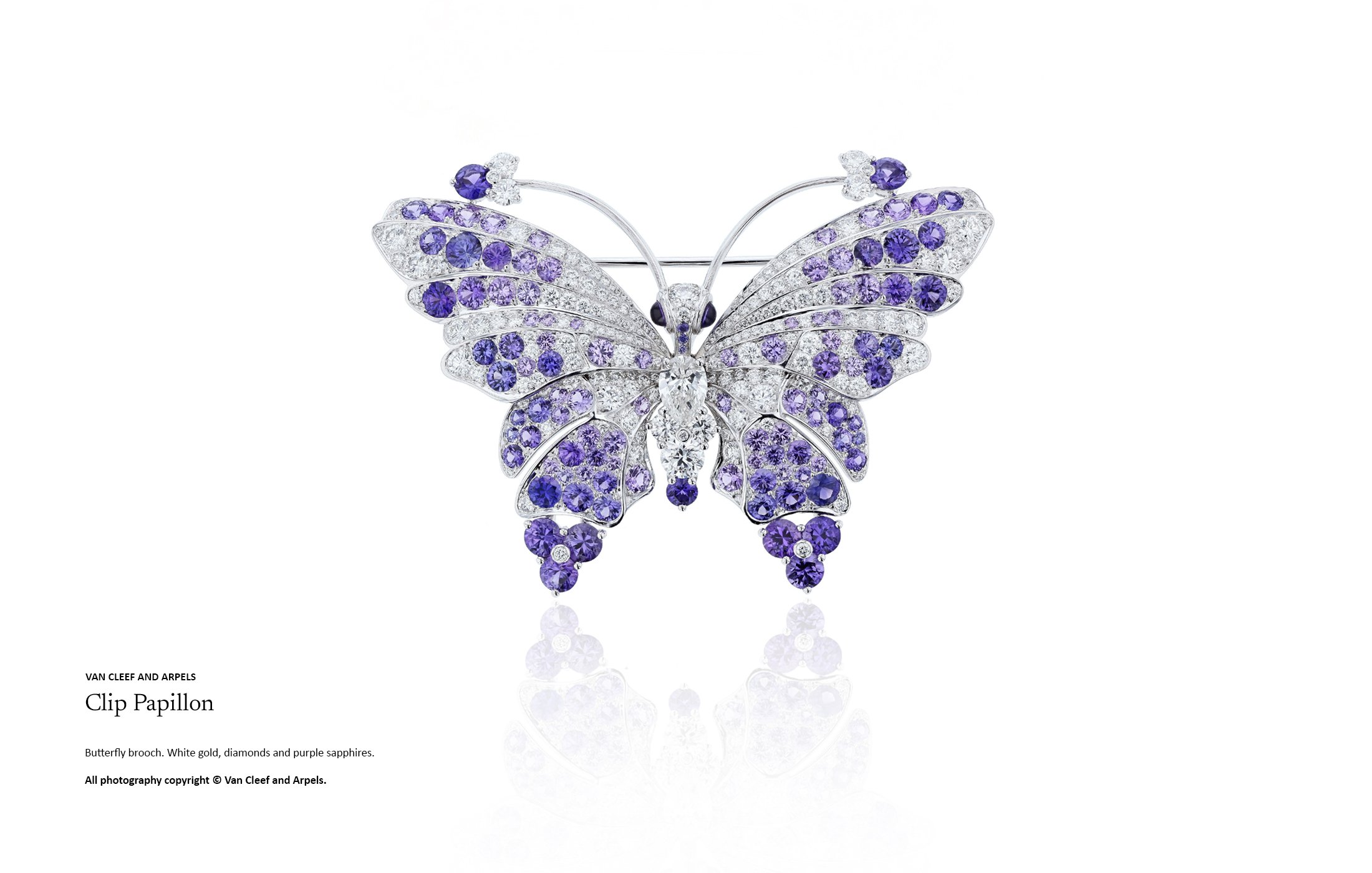 High jewellery butterfly brooch crafted in white gold with diamonds and purple sapphires, highlighting sculptural wing structure and sophisticated gemstone distribution in high jewellery design by Myles Day Jewellery Artist.