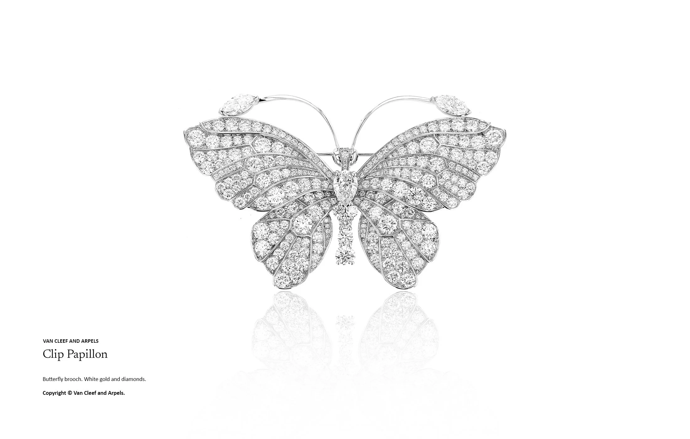 High jewellery butterfly brooch in white gold and diamonds, featuring intricate pavé-set wings and articulated diamond body. Couture-level jewellery design expertise by Myles Day jewellery artist.
