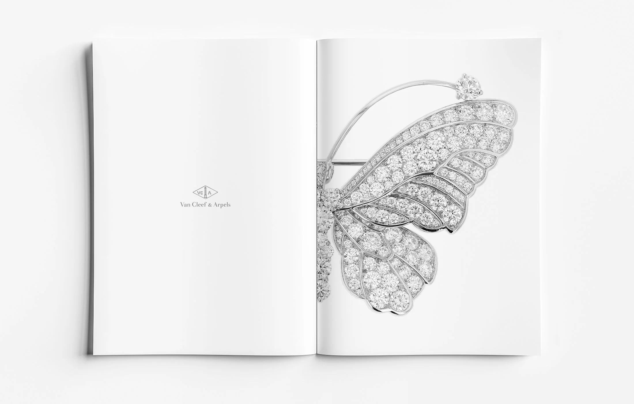 High jewellery butterfly brooch detail in white gold and diamonds, showcasing pavé-set diamond wing structure and fine high jewellery craftsmanship. Luxury jewellery design presentation by Myles Day jewellery artist.