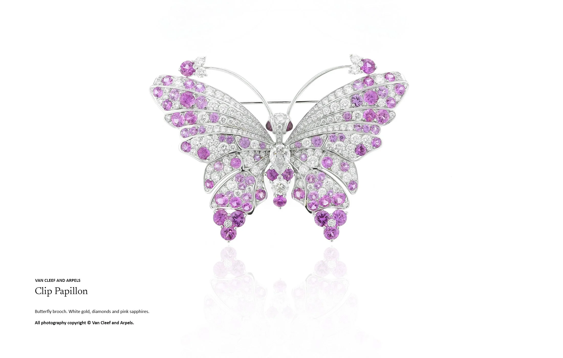 High jewellery butterfly brooch crafted in white gold with diamonds and pink sapphires, featuring layered wing construction and detailed gemstone arrangement in high jewellery design by Myles Day Jewellery Artist.