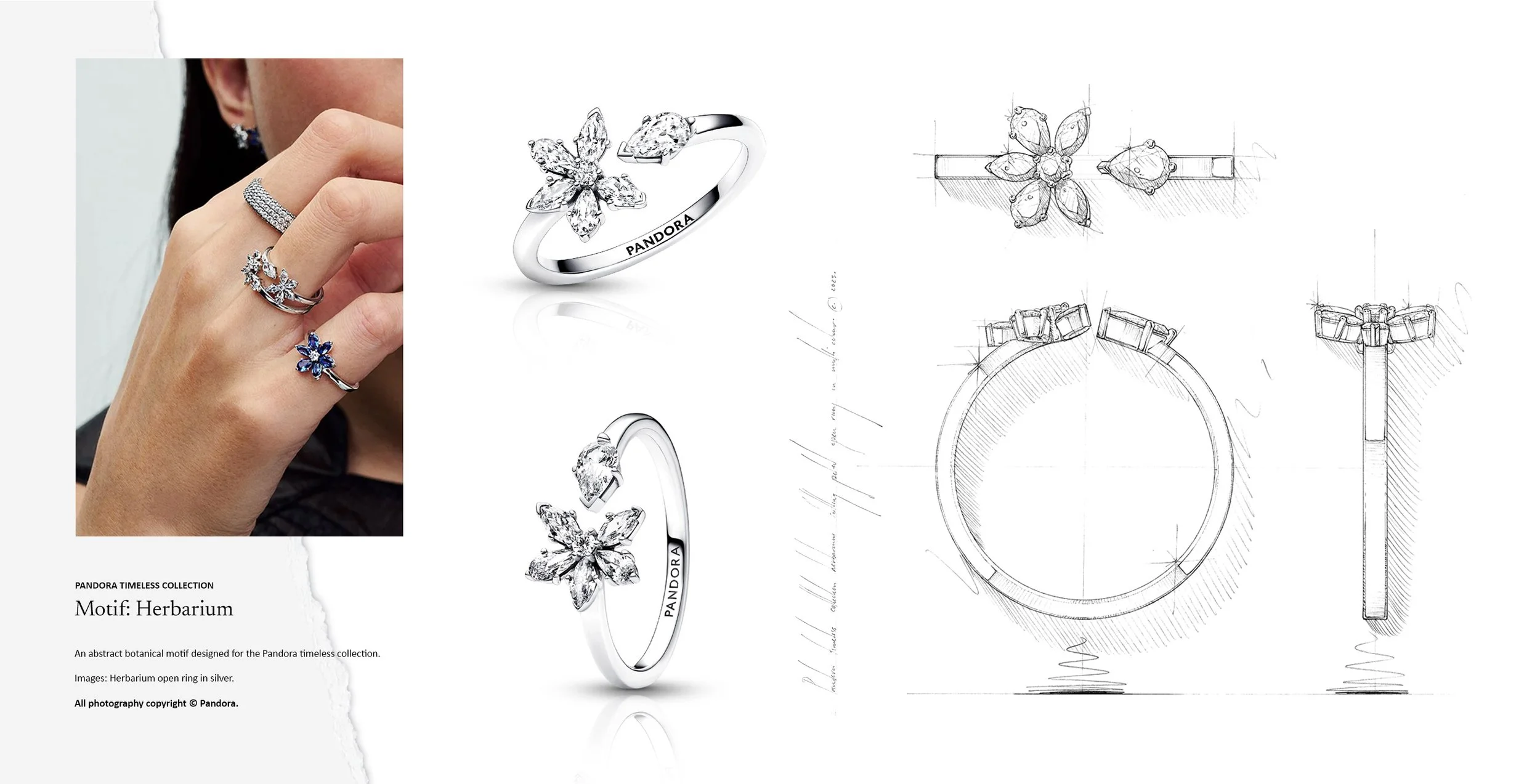 Pandora Herbarium silver ring featuring abstract botanical motif, shown with detailed jewellery design drawing sketch, jewellery design by Myles Day jewellery artist.