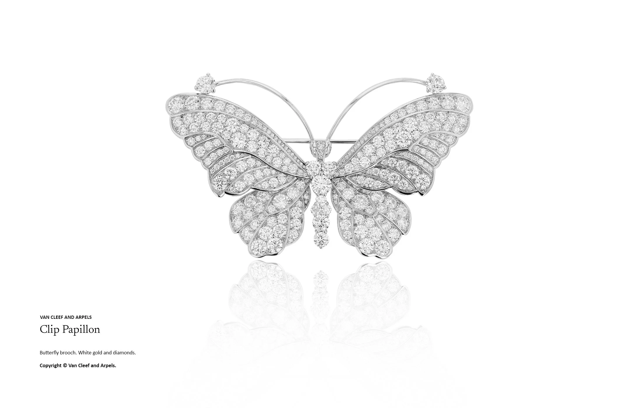 High jewellery butterfly brooch in white gold and diamonds, symmetrical pavé diamond wings and sculptural openwork design. High jewellery design and diamond setting craftsmanship by Myles Day jewellery artist.