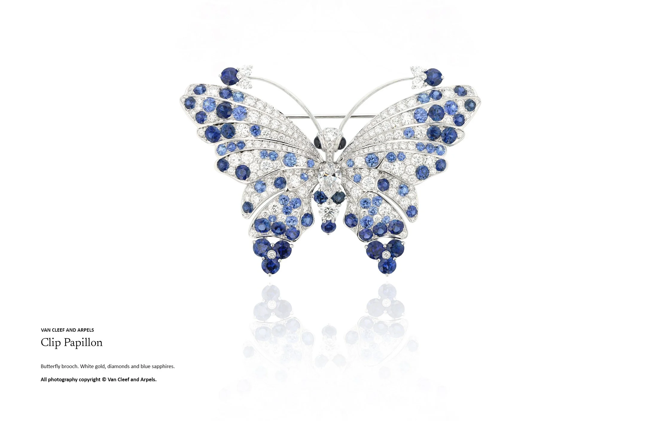 High jewellery butterfly brooch in white gold set with diamonds and blue sapphires, showcasing precision stone setting, tonal gemstone gradation and refined high jewellery design by Myles Day Jewellery Artist.