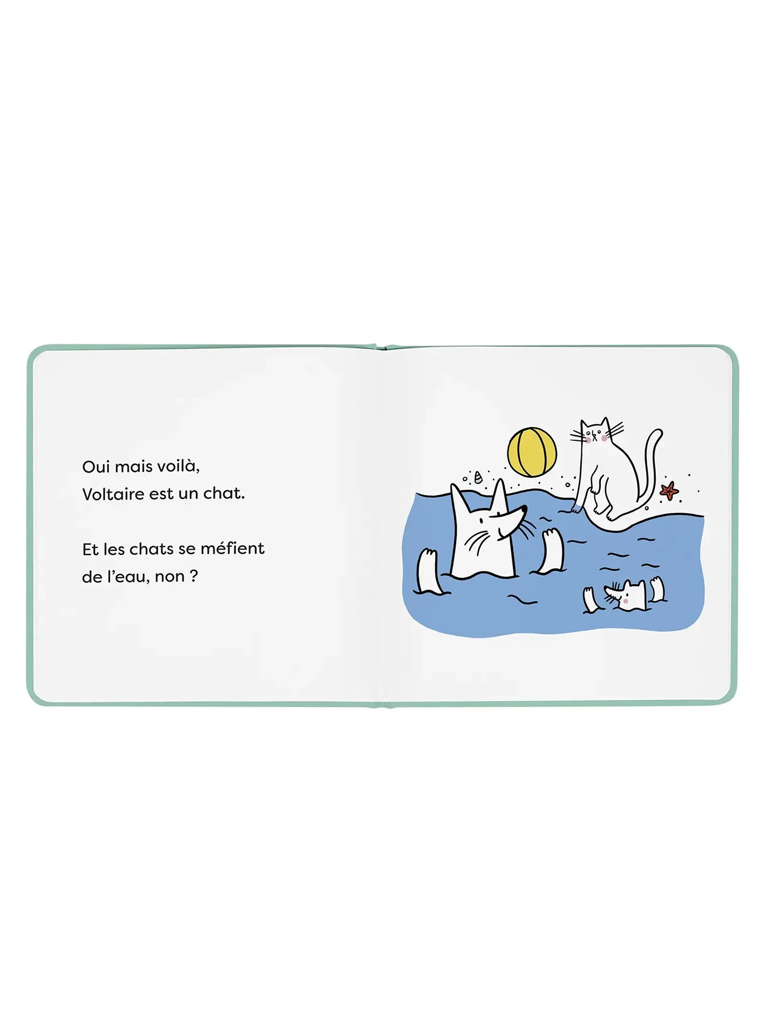 album-confiance3.webp