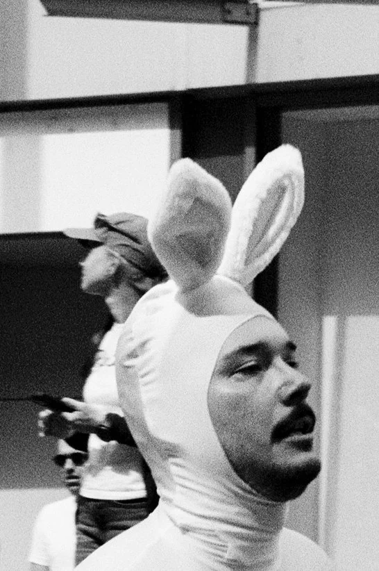 bunny.neu.vienna.jpg