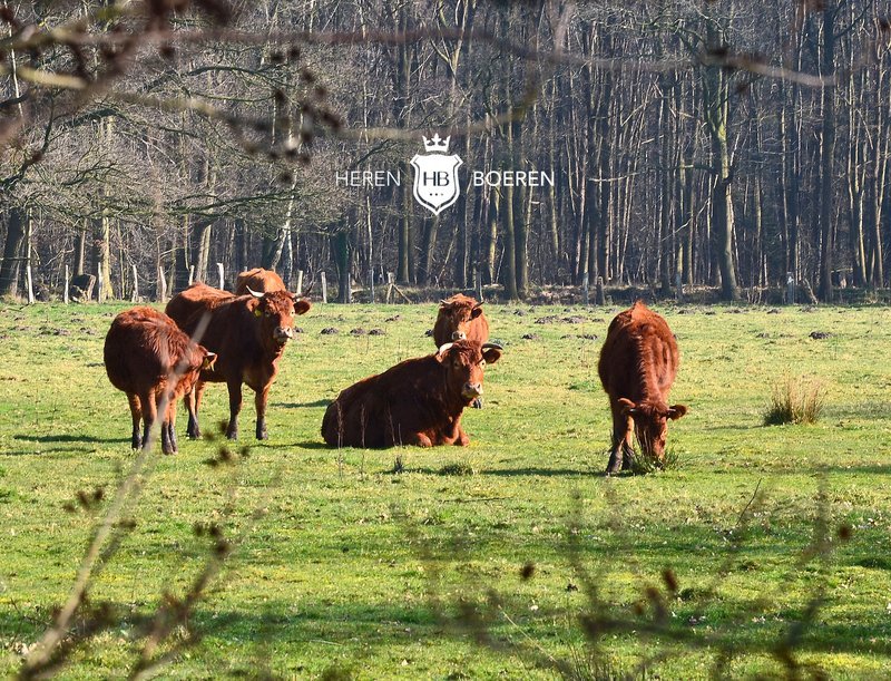 Herenboeren / People’s Farms (2015-2020)