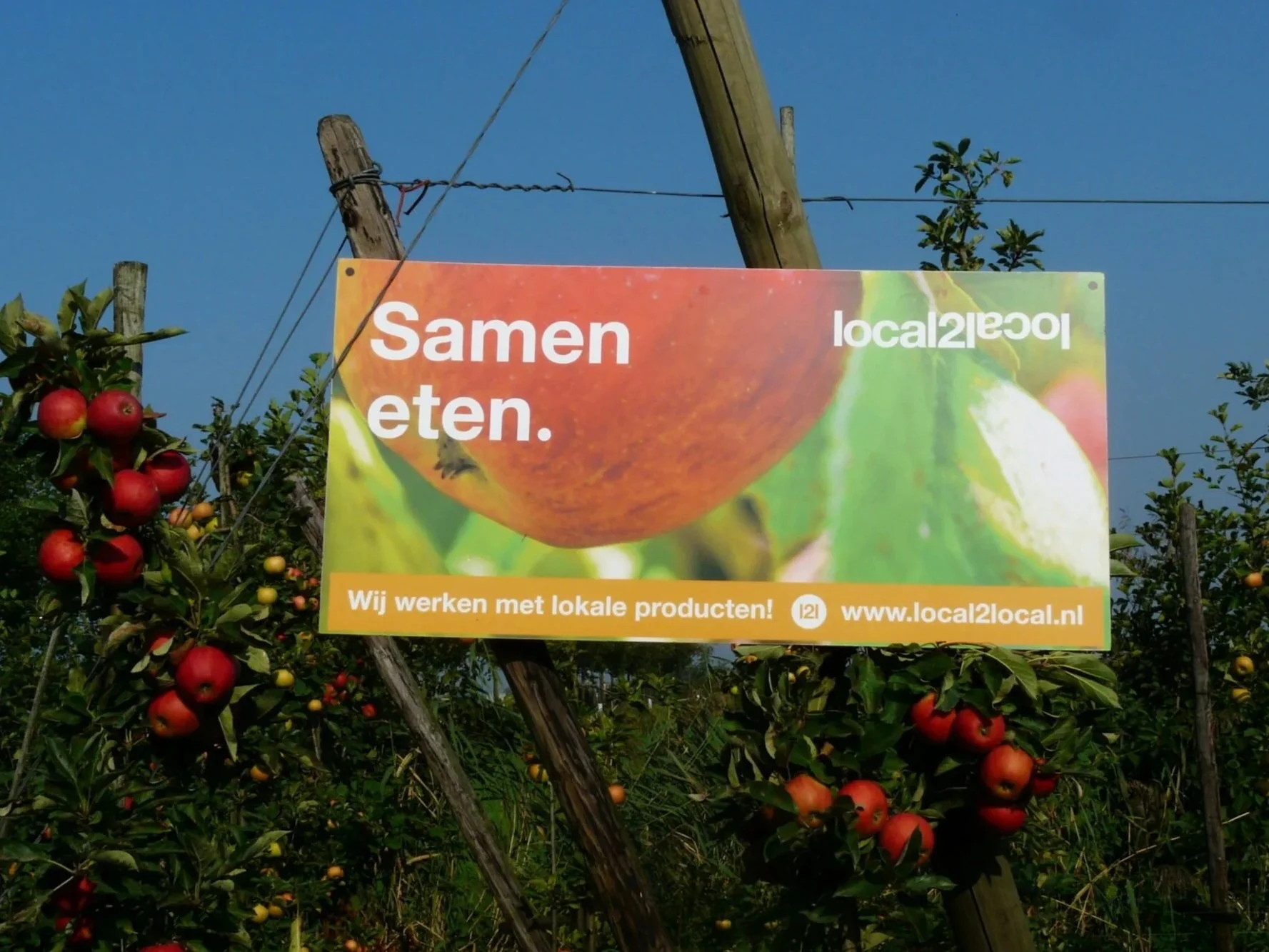 Local2Local (2014-2024)
