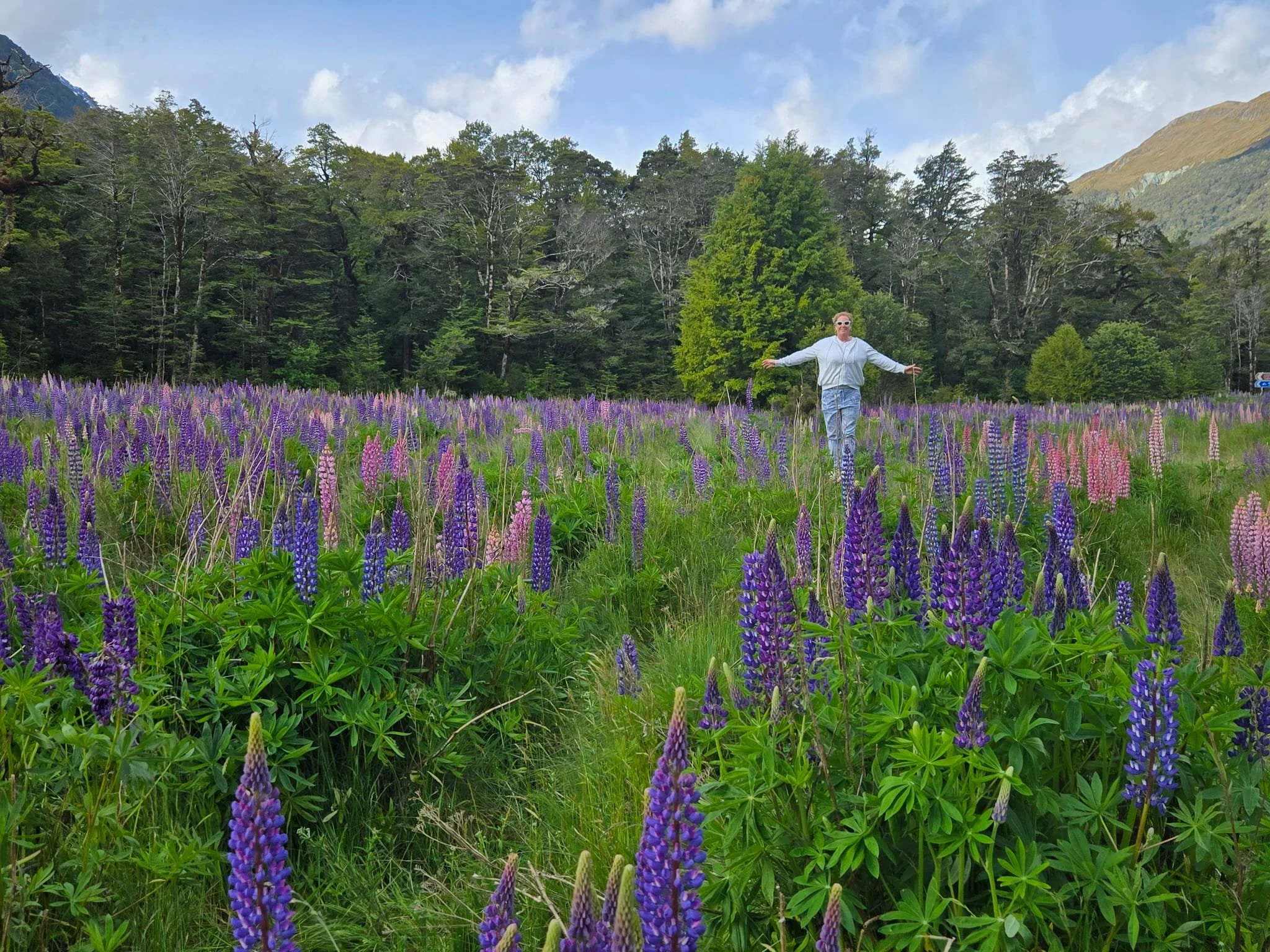 A person stands with arms outstretched in the middle of a wide meadow filled with tall purple and pink lupine flowers, surrounded by dense green forest with mountains rising in the background under a partly cloudy sky.